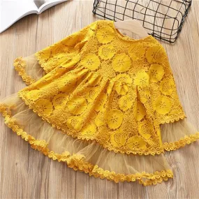 Fashion flower Princess Dress